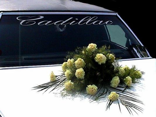 Teljes m�ret� k�p megtekint�se
 ============== 
